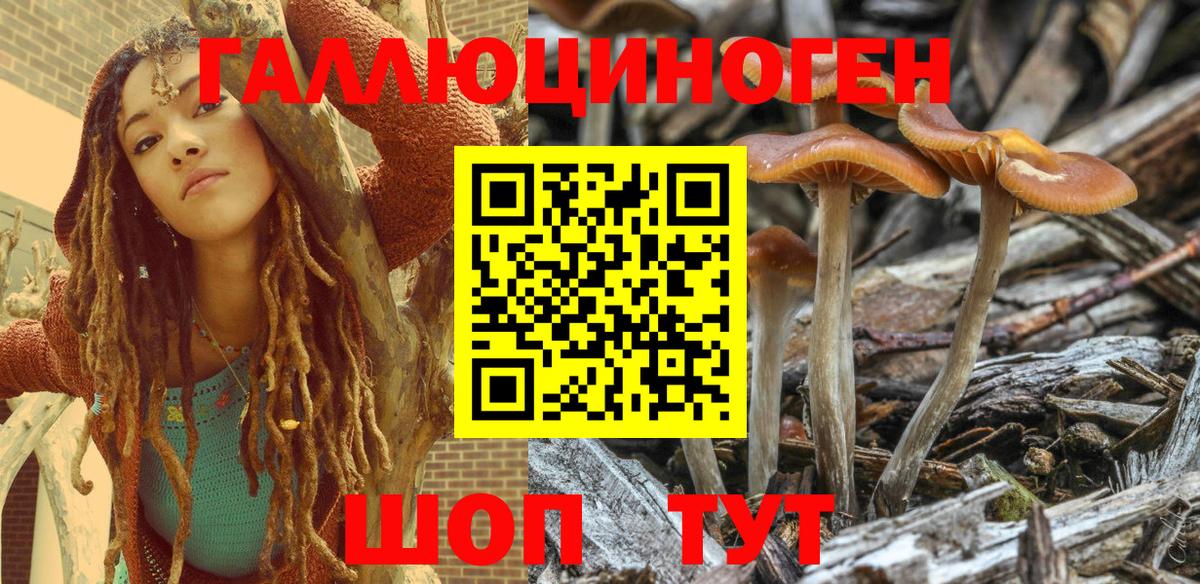 Псилоцибиновые грибы Cubensis  Галлюциногенные грибы GOLDEN TEACHER  Вход с VPN  Губкин 