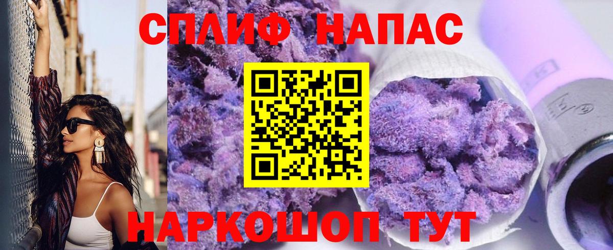 Каннабис гибрид Губкин